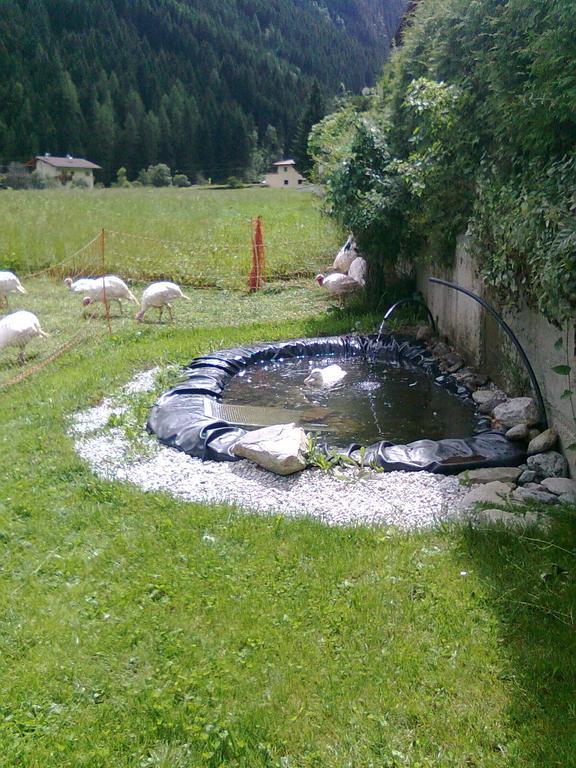 Hostal Luenerhof Neustift im Stubaital Exterior foto